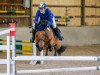 jumper Heidi's Helena (German Riding Pony, 2009)