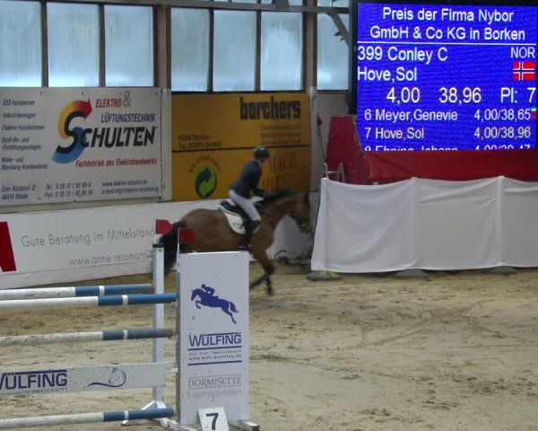 Reitturnier Borken 2020
