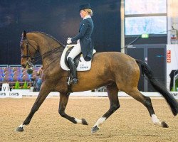 dressage horse Suppenkasper (KWPN (Royal Dutch Sporthorse), 2008, from Spielberg)