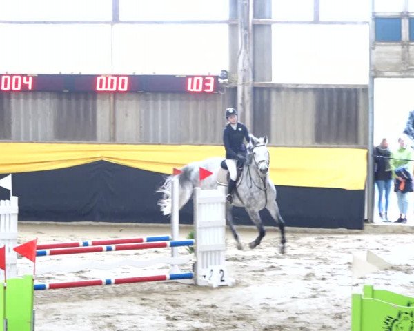 Reitturnier Erlen 2020