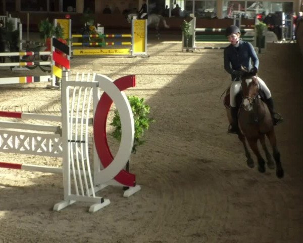 Reitturnier Dettingen 2020