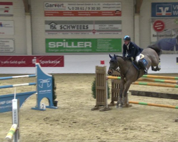Reitturnier Borken 2020