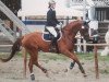 dressage horse Déjanel (Hanoverian, 2010, from Dancier)