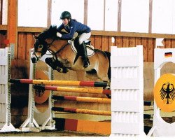 Springpferd Aladin 533 (Deutsches Reitpony, 2003, von Aragon N)