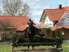 broodmare Cara Vida (Trakehner, 2009, from Songline)