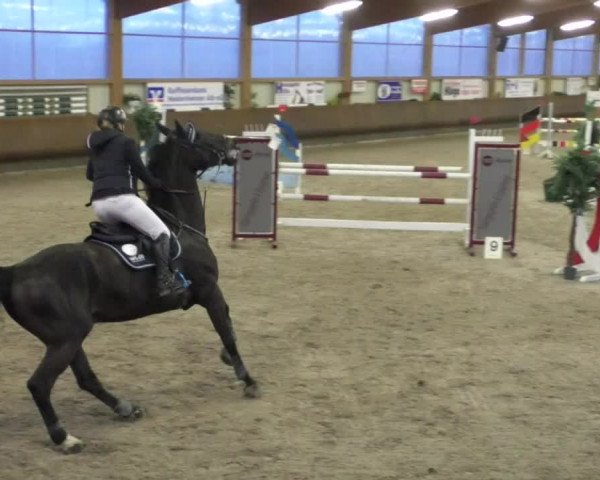 Reitturnier Dettingen 2020