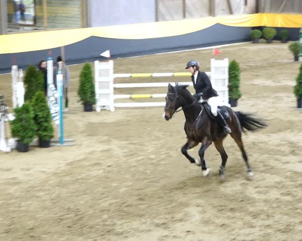 Reitturnier Erlen 2020