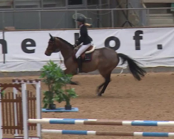 Reitturnier Kreuth/Opf. 2020
