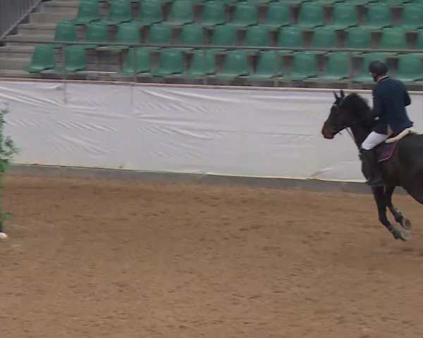 Reitturnier Kreuth/Opf. 2020