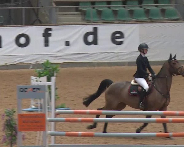 Reitturnier Kreuth/Opf. 2020
