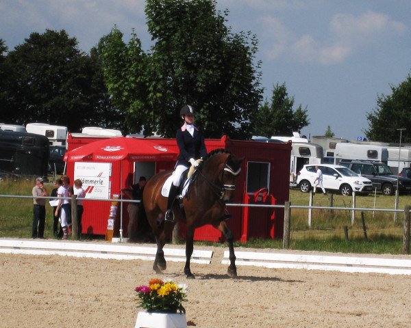 dressage horse Ankulgards Rena (Danish Warmblood, 2008, from Hotline)