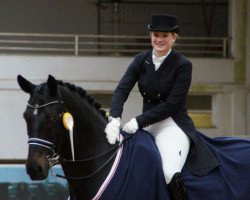 dressage horse Westpoint 190 (Hanoverian, 2003, from Warkant)