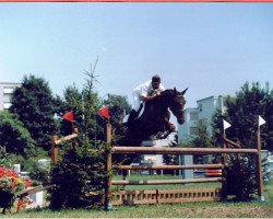 broodmare Cleopatra CH (Swiss Warmblood, 1987, from Irco Polo)