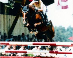 Zuchtstute Palmira von Hof (Schweizer Warmblut, 1992, von Palestro II)