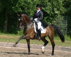 dressage horse La Scala 3 (Rhinelander, 1998, from Lancer II)