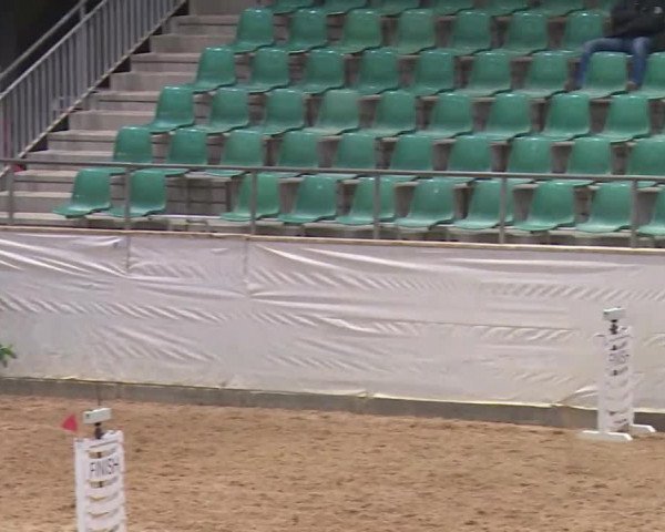 Reitturnier Kreuth/Opf. 2020