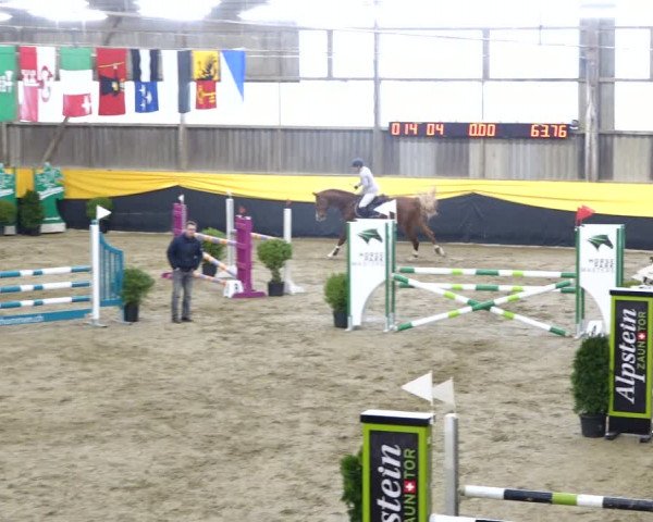 Reitturnier Erlen 2020