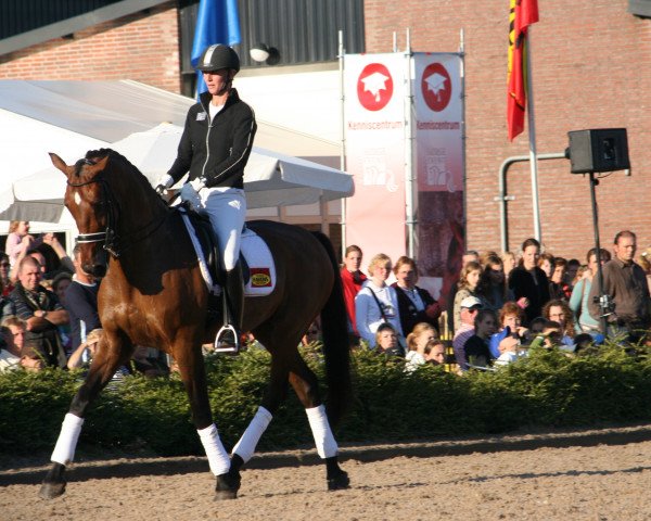 horse Melvin V (KWPN (Royal Dutch Sporthorse), 1994, from Flemmingh)