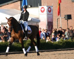 horse Melvin V (KWPN (Royal Dutch Sporthorse), 1994, from Flemmingh)