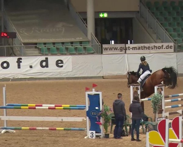 Reitturnier Kreuth/Opf. 2020