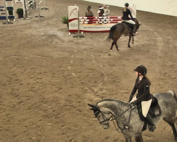 Reitturnier Viernheim 2020