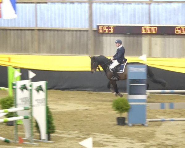 Reitturnier Erlen 2020