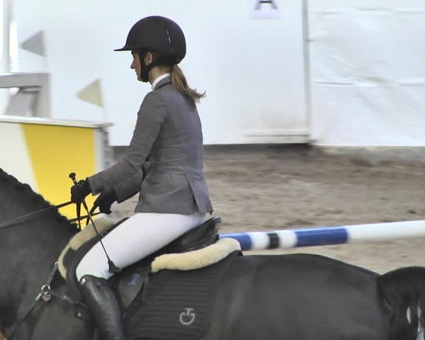 Reitturnier Viernheim 2020