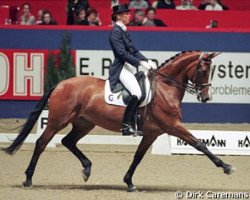 horse Barbria (KWPN (Royal Dutch Sporthorse), 1983, from Doruto)