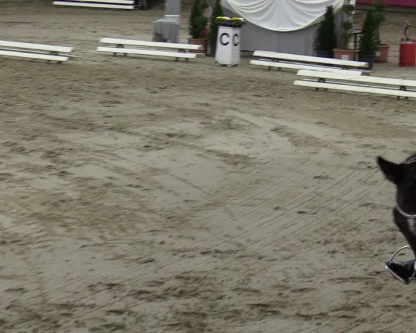 Reitturnier Vlotho-Exter 2020
