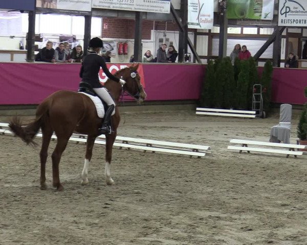 Reitturnier Vlotho-Exter 2020