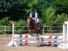 jumper Mephisto 326 (Danish Warmblood,  )