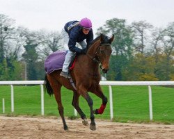 horse Anna Greta xx (Thoroughbred, 2008, from Golan xx)