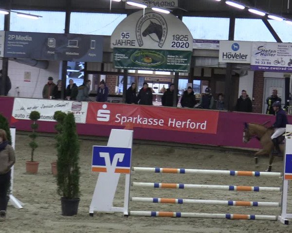 Reitturnier Vlotho-Exter 2020