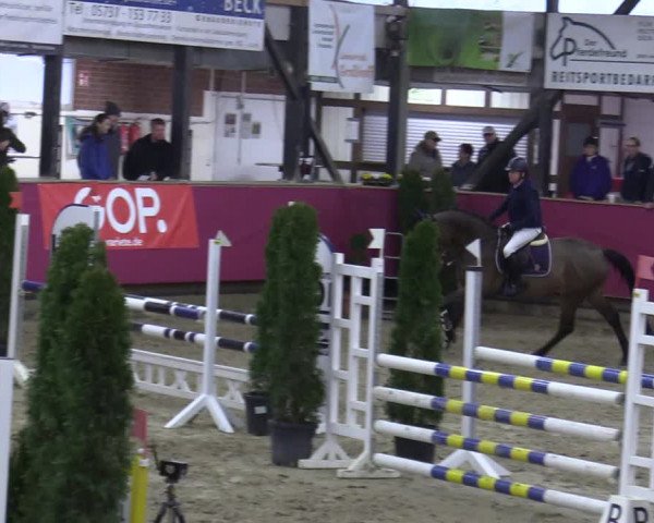 Reitturnier Vlotho-Exter 2020