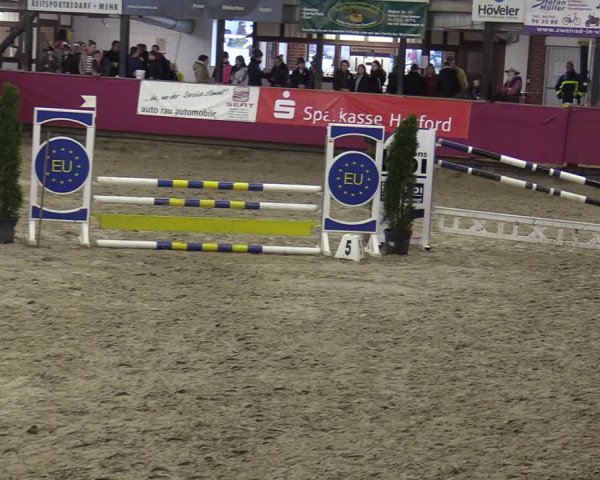 Reitturnier Vlotho-Exter 2020