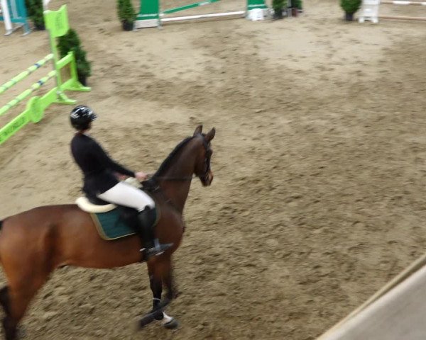 Reitturnier Erlen 2020