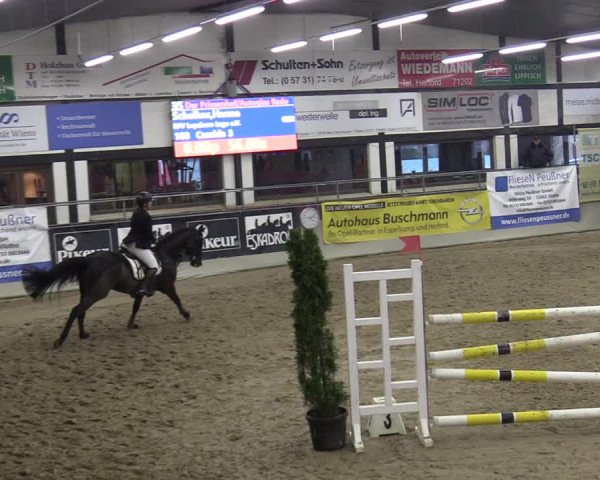 Reitturnier Vlotho-Exter 2020