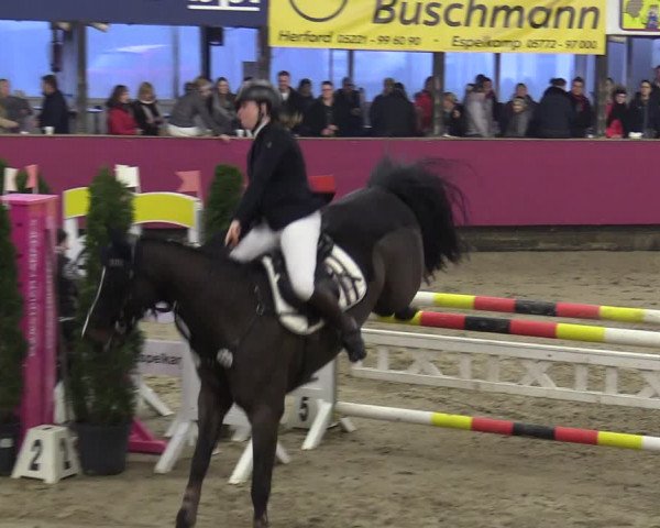 Reitturnier Vlotho-Exter 2020