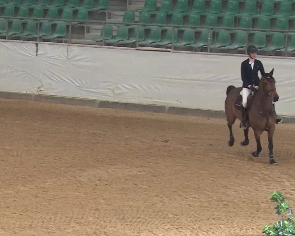 Reitturnier Kreuth/Opf. 2020