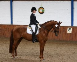 dressage horse Ferrero 38 (Hanoverian, 2010, from Fuerst Rousseau)