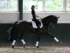 dressage horse Fürst Fido 2 (Hanoverian, 2006, from Fürst Heinrich)