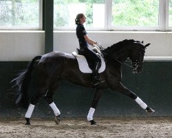 dressage horse Fürst Fido 2 (Hanoverian, 2006, from Fürst Heinrich)