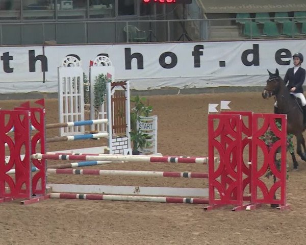 Reitturnier Kreuth/Opf. 2020
