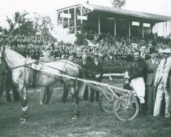 broodmare De Prinses Juliana (NL) (Traber, 1936, from Senator Brewer (US))