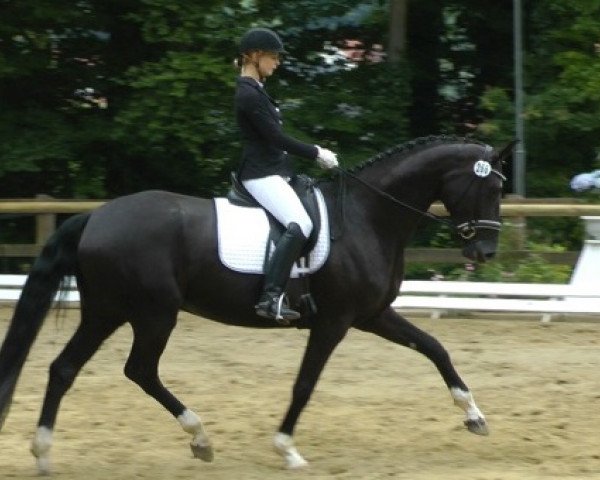 broodmare Della de Niro (Hanoverian, 2011, from De Niro)