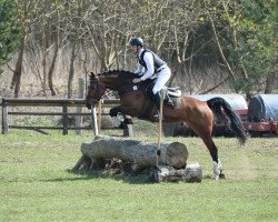 broodmare Latenda (German Sport Horse, 2010, from Le Co Q As)