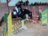 dressage horse R-Anthony (New Forest Pony, 2000, from Ashley Royale)