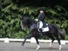 stallion Proud Rocketti (Hanoverian, 2000, from Rotspon)