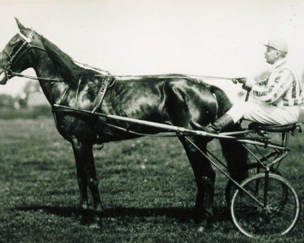 broodmare Alruna (US) (American Trotter, 1887, from Lord Russell 4677 (US))