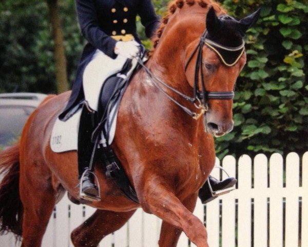 dressage horse Zeus (Westphalian, 2002)